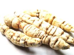 Image result for Cynanchum orangeanum