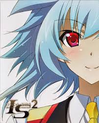 The basic components of an is are: Pin On Infinite Stratos