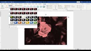 Microsoft Word 2016 How To Insert Picture And Format In Tamil Microsoft Word 2016 Microsoft Word Words
