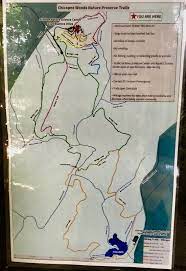 Elachee Nature Science Center Gainesville 2021 What To Know Before You Go With Photos Tripadvisor