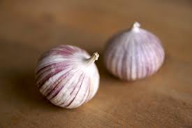 Solo Garlic Wikipedia