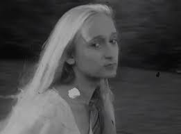 Same Stream Twice by Lynne Sachs 2012