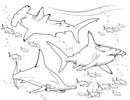 The great hammerhead is the largest of the nine hammerhead shark species. Robot Check Shark Coloring Pages Beach Coloring Pages Shark Coloring