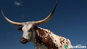 Why texas may be the next bitcoin, crypto mining capital. Texas Bitcoin Mining Swells Riot Purchases Mining Site For 650m Blockcap Establishes Hq In Austin Mining Bitcoin News