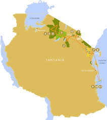 50 kilometer vor der küste tansanias liegt sansibar. Wunderbare Welt Der Tiere Into East Africa Reisen