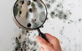 Maybe you would like to learn more about one of these? Water Damage Albuquerque American Restoration