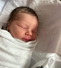 Steven Petrucci (@stevie_p22) • Instagram photos and videos