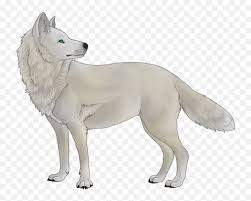 Share the best gifs now >>>. Download White Wolf Thing White Wolf No Background Full Anime White Wolf Transparent Png Free Transparent Png Images Pngaaa Com
