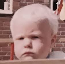 What is the best way to deal with this climbing/rambler rose please? It's  Mme Alfred Carriére. In the past I've cut it hard back and tied in new  shoots around early September,