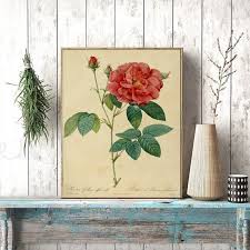Vintage roses painting, vintage roses fine. Ancient Botanical Poster Vintage Rose Flower Wall Pictures Classic Floral Lily Plants Wall Art Canvas Painting Living Room Decor Nordic Wall Decor