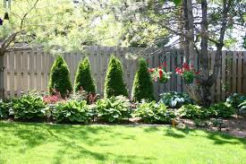 Free shipping on orders over $100. Fence Landscaping Outside Ideas Pinterest Fence Landscaping Backyard Landscaping Landscaping Along Fence