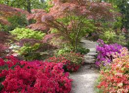 Le jardin japonais est un art mélangeant minéral et végétal. Jardin Japonais Arbres Plantes Et Objets Decoratifs