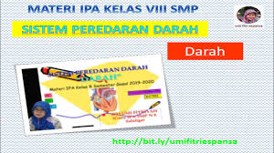 Meskipun begitu, kami tetap mewajibkan anda tetap teliti dalam menjawab pertanyaan bab peredaran darah manusia. Bab 6 Sistem Peredaran Darah Darah Ipa 8 Smp Smt 1 Youtube