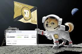 The model of bitcoin up trading platform will be adopted for dogcoin miners and. Elon Musk Now Wants A Pet Shiba Inu After Obsessing Over Meme Cryptocurrency Dogecoin