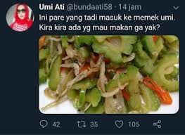 Maybe you would like to learn more about one of these? Cherry Coloured Funk On Twitter Dek Makan Dulu Ibu Masak Cumi Cah Kangkung Sama Pare Nih Errrrr Aku Makan Di Luar Aja Buk Lho Knp Tumben Gpp Twitter