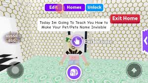 How To Make Your Pet Name Invisible In Adopt Me Youtube