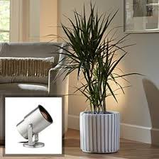 Uplights And Clip On Lights Mini Indoor Spot Lighting Lamps Plus