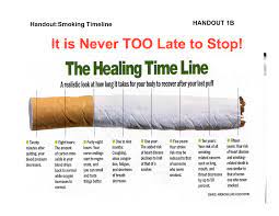 We will show them how to stop smoking weed forever. It S Never Too Late To Stop The Healing Timeline A Realistic Look At How Long It Takes For Your Body To Recover After Your Last Puff Stopsmoking