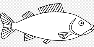 Gambar ikan cupang kartun hitam putih. Menggambar Buku Mewarnai Ikan Ikan Putih Hewan Png Pngegg