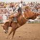 Ballan Rodeo event image