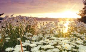 Clean water to drink, fresh air to breathe, energy to power our lives, and economic opportunities from recreation to military training. Rogers Mortuary Las Vegas Las Vegas New Mexico Legacy Com