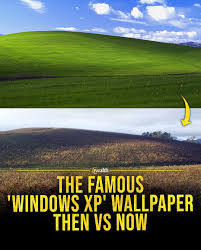 The famous Windows XP wallpaper, known as “Bliss,” was photographed in 1996  in California's Sonoma County by Charles O'Rear. Back then, it was just a  vibrant, untouched green hill under a perfectly