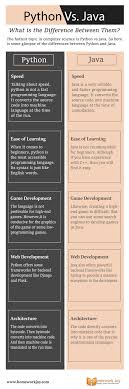 Python Vs Java What Is The Difference Between Them In 2020 Python Java Infographic