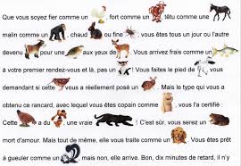 Expressions Animales Expression Avec Des Animaux Premiers Sons Etre Fier