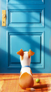 Space gray iphone x wallpaper, ios, ipad, ipod, vertical, portrait display. Wallpaper The Secret Life Of Pets Best Animation Movies Of 2016 Cartoon Movies 7175