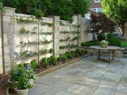 Maybe you would like to learn more about one of these? Courtyard Project Paperblog Espalier Fruit Trees Outdoor Gardens Fruit Trees