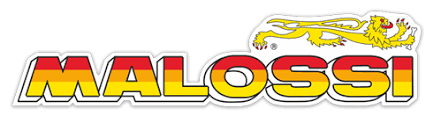Resultado de imagen de FOTOS MALOSSI