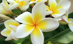 We did not find results for: Peringatan 40 Hari Kematian Wanita Salihah