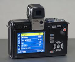 Women and Dreams: January 2020