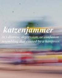 Uncommon Words Definitions On Instagram Kat Sun Jam Er I Drank Too Much That Night And Woke Uncommon Words Uncommon Words Definition Word Definitions