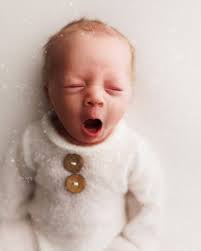 Haley Daugherty Photography