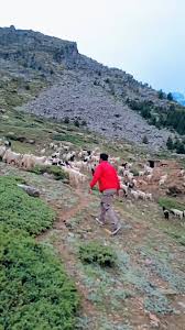 Sis❤️🙏#uttarakhand #uttarakhand