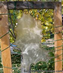 Your home's front door has a myriad of options to shoose from. How To Tan Animal Hides Using Several Methods