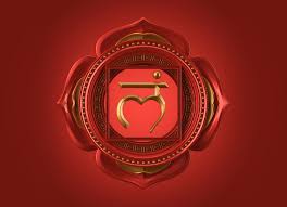 Get in touch with your chakras with online yoga classes designed for all levels. 8 Root Chakra Poses For Balance And Stability Of Muladhara Yoga Practice