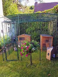 Outdoor Rabbit Run Large Outdoor Rabbit Enclosure Outdoor Rabbit Run Rabbit Enclosure Rabbit Run