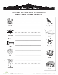 Animal Habitats For Kids Worksheet Education Com Animal Habitats Second Grade Science First Grade Science