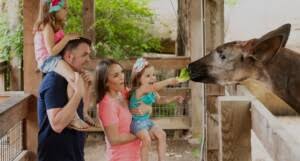 London Zoo's Land of the Lions Takes Themed Design to a New Territory