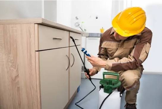 Precision Spraying Treatment