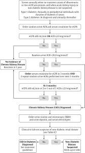 End stage renal failure due to diabetes is occurring at increasing rates. Chronic Kidney Disease In Diabetes Canadian Journal Of Diabetes