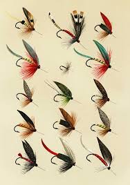 Recommended trout lures, baits & flies. Trout Flies 2 Favorite Flies And Their Histories Mixed Media By Movie Poster Prints