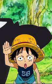 Pin On Monkey D Luffy