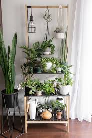 Check spelling or type a new query. How To Use Grow Lights For Houseplants To Help Them Thrive