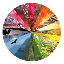 Pin By Art Ed Central On Art Line Color Value Collage Art Projects Color Wheel Art Color Wheel Projects