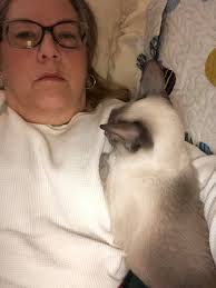 Bonnie bonbons dating profile picture 🤣