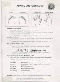Sebelum memulakan pemotongan kuku anda, perlu diketahui bahawa sunat untuk bermula memotong kuku dari tangan. Tips Potong Kuku Ala Rasul Steemit