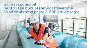 We offer apa, mla, or a chicago style paper in almost 70 disciplines. Apa Nova Se RepoziÈ›ioneazÄƒ È™i Alege O NouÄƒ Identitate VizualÄƒ